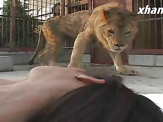 Japanese Girl masturbation in front of the Lion